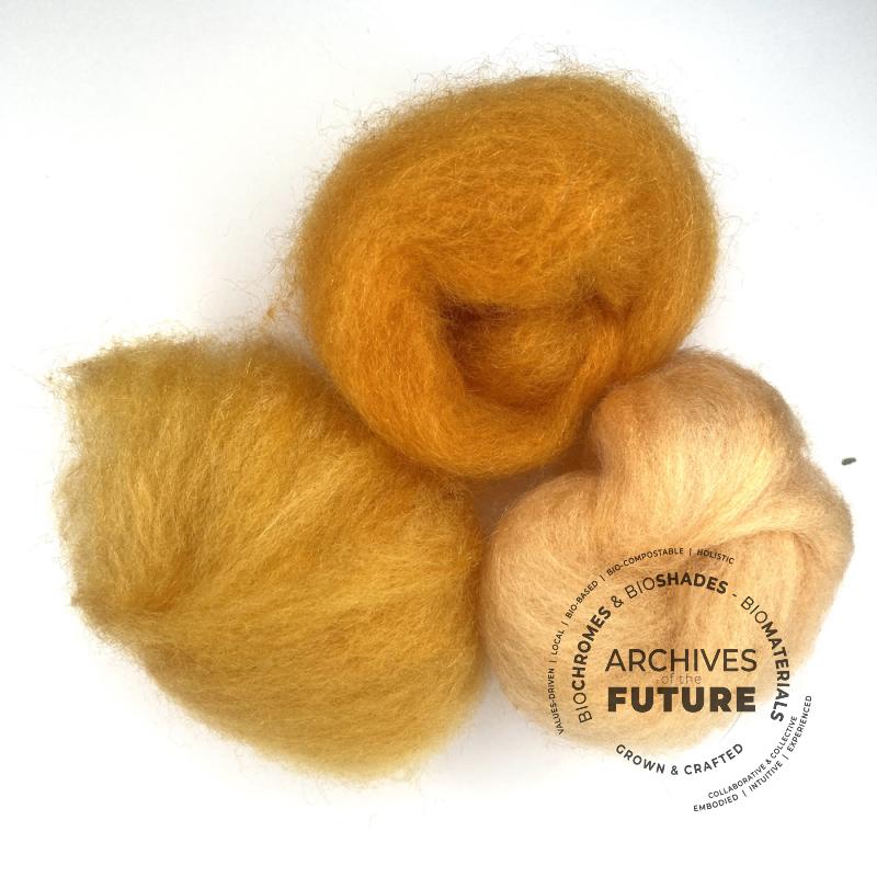 coreopsis-color-wool-mix.jpg