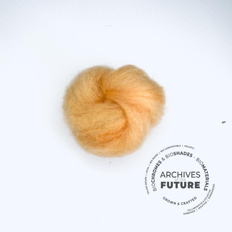 coreopsis-wool-1754834352.jpg