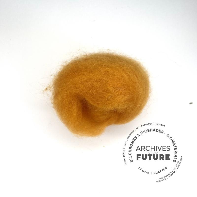 corepsis-alka-wool.jpg